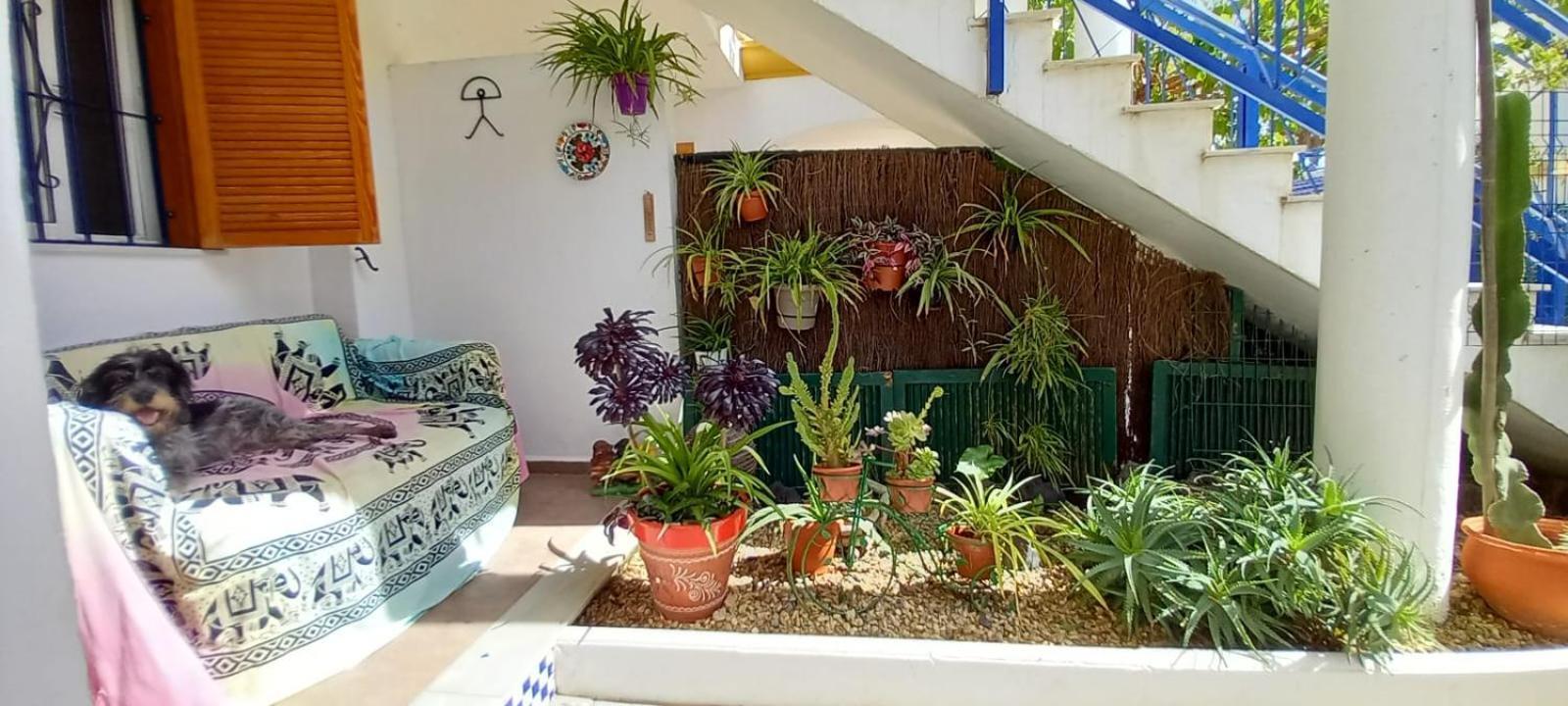 Casa Chiki Appartement Vera Buitenkant foto